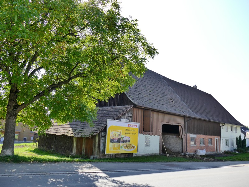 König in Köstenbach