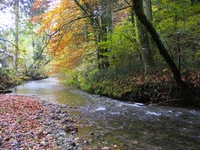 Bei Fuchstobel