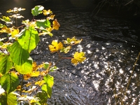 Bild_10