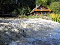 Rotach beim Zwergerhaus