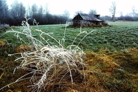 Torfhütte im Pfrunger Ried