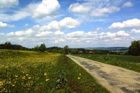 Ursprungsgebiet auf dem Höchsten