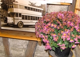 Bild_14