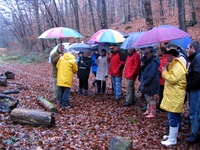 Bild_4