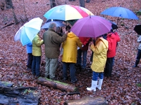 Bild_5