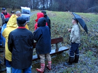 Bild_6