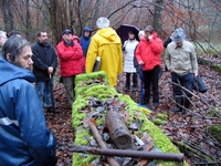 Bild_7