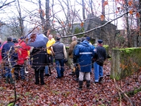Bild_9