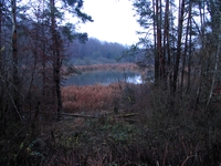 Weiherberg