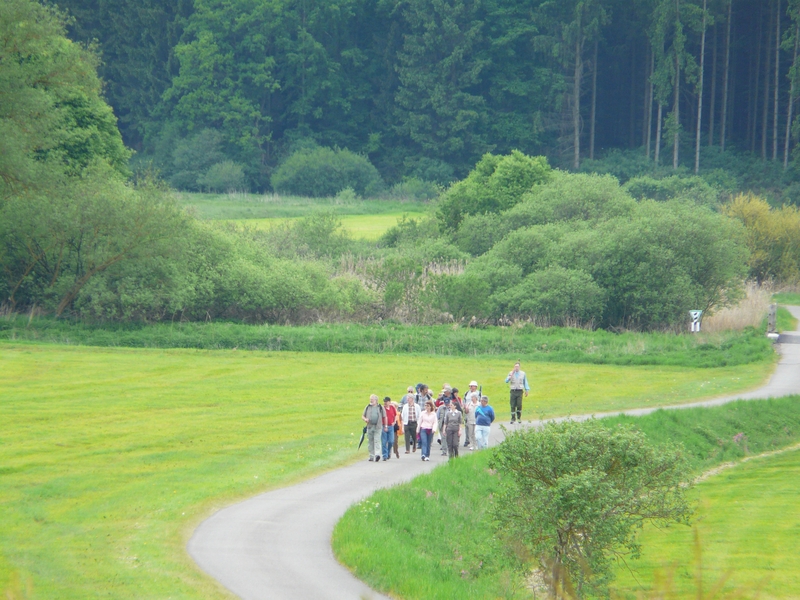 Auf dem Weg