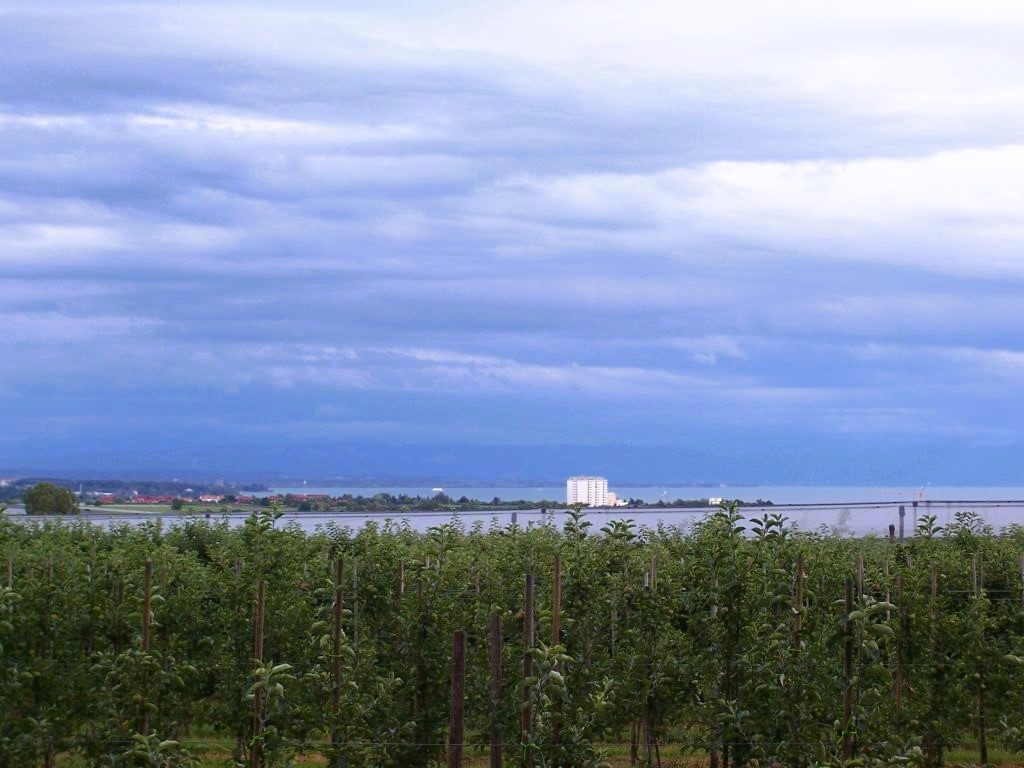 Blick nach Immenstaad