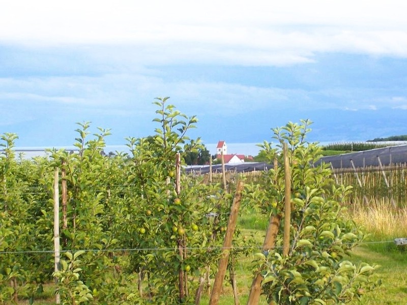 Blick nach Kippenhausen