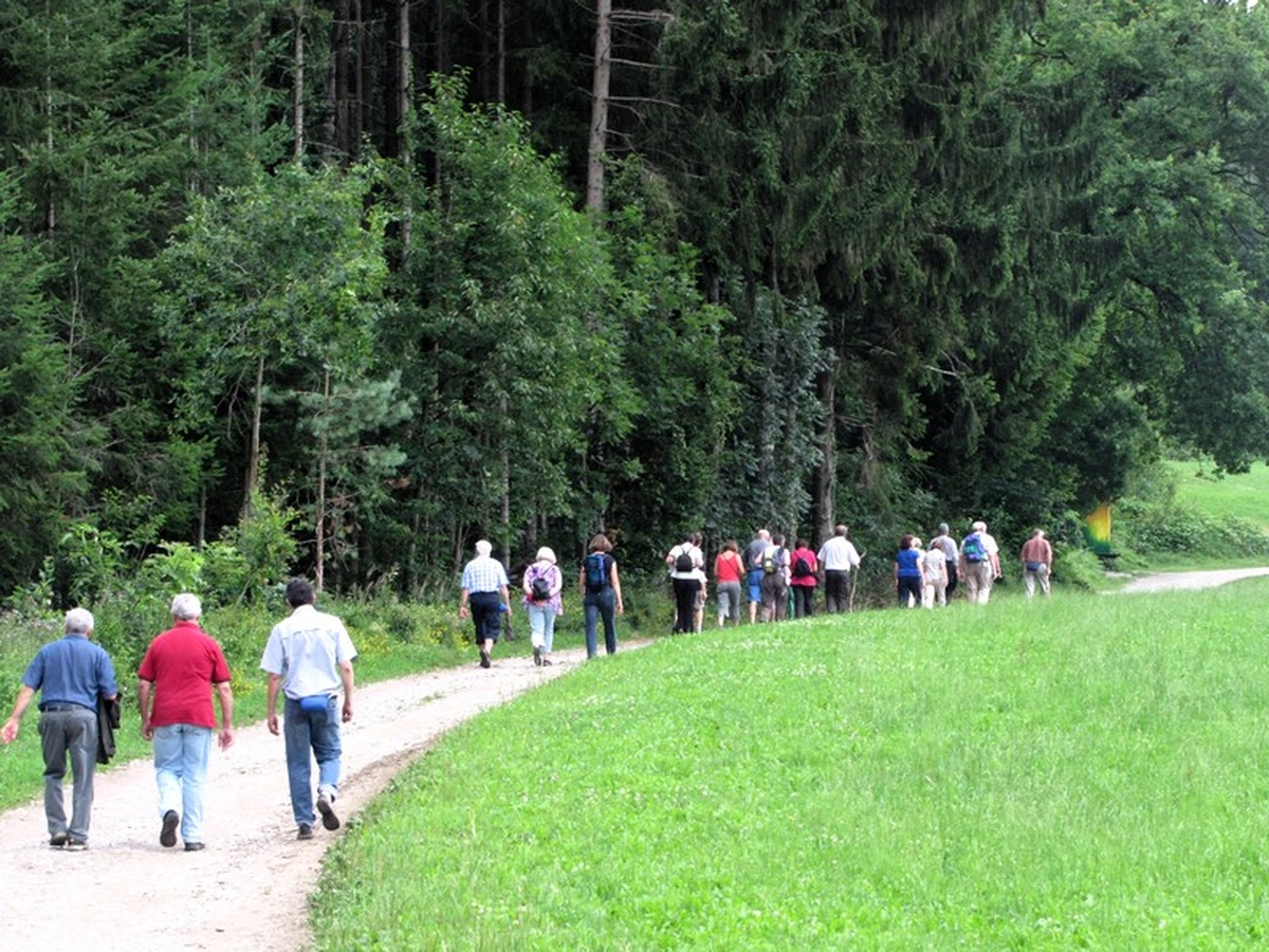 Abendwanderung um Hepbach
