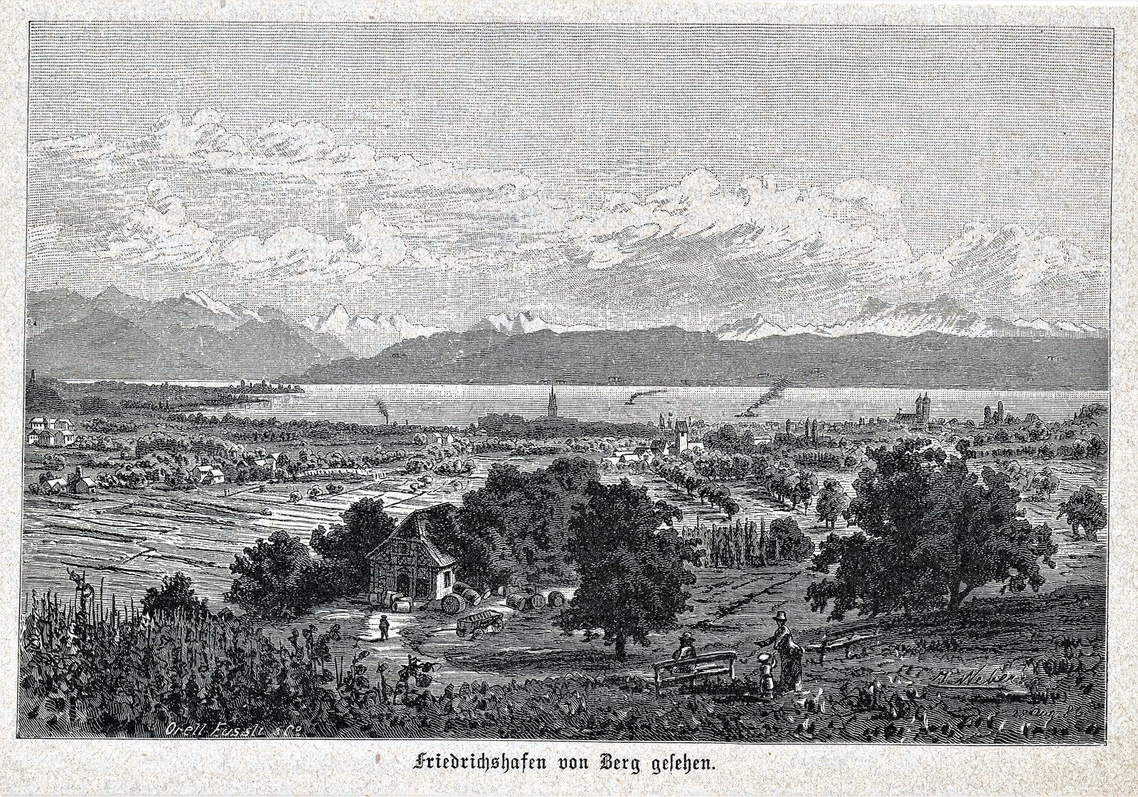 Friedrichshafen von Berg gesehen