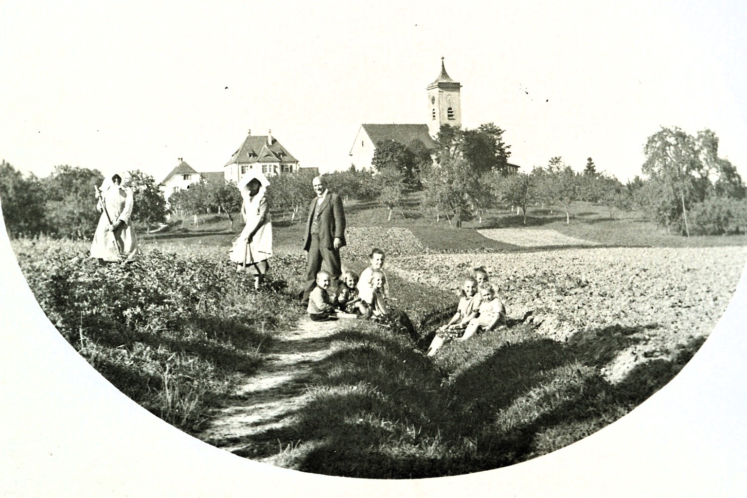 Landwirtschaft-am-Frankenweg-Berg