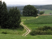 Bild_8