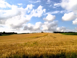 Bild_3