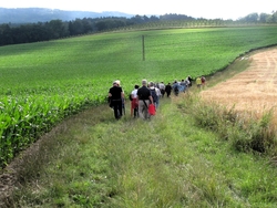 Bild_4