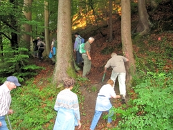 Bild_12