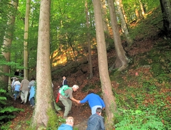 Bild_13