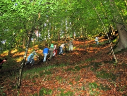 Bild_14