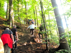 Bild_15