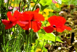 Bild_23