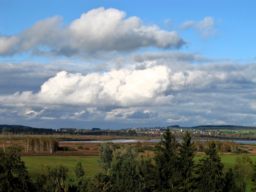Federsee