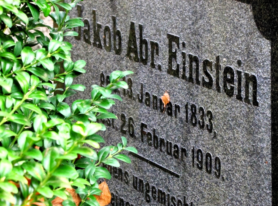Vorfahren von Albert Einstein