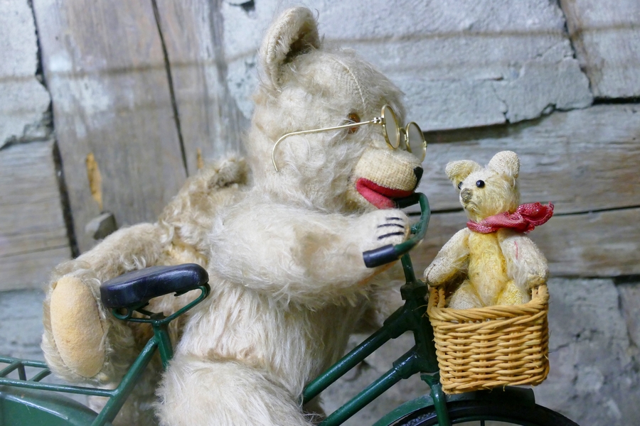 Der Teddybär darf nicht fehlen