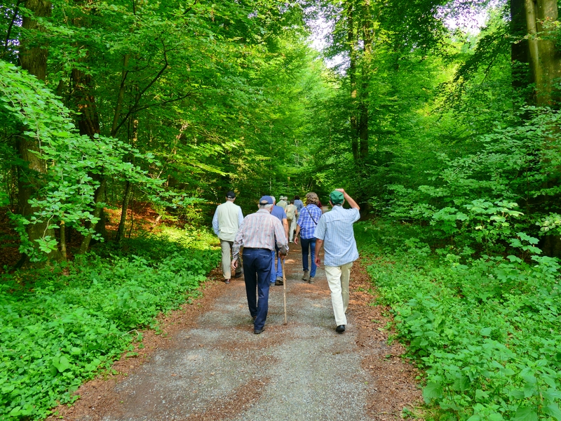 Waldbegehung startet