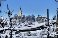 Bild_8