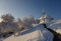 Bild_1
