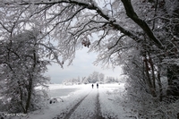 Bild_4