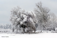 Bild_5