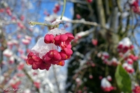 Bild_6