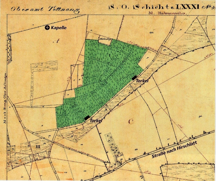 Weinbau am Haldenberg